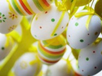 pasquaens