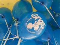 gms202013