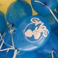 gms202013