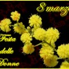 festa-delle-donne