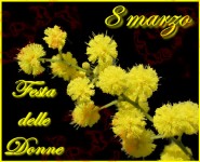 festa-delle-donne