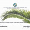 domenica-palme