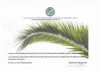 domenica-palme