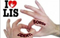 lis1-300x184