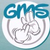 logo gms 2016