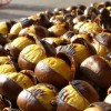 sagra-de-pane-e-della-castagna