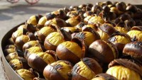 sagra-de-pane-e-della-castagna