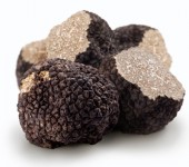 tartufo