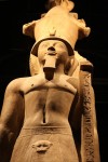 IMG 7438