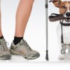 dog-trekking