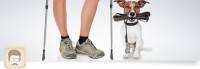 dog-trekking