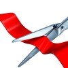 offerta inaugurazione1