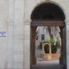 MUSEO papiro