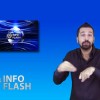 info-flash5