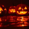 halloween zucche