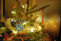 auguri-natale