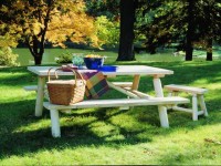 picnic