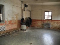 Terezin 5