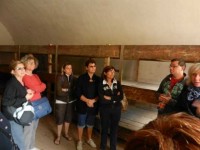 Terezin 8