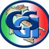 LOGO CGSI