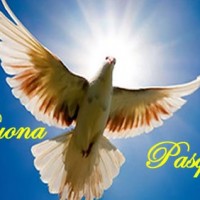 BUONAPASQUA2