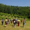 CAMMINATA3