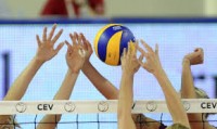 PALLAVOLO copy