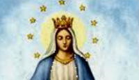 immacolata vibo