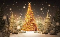 abete di_natale