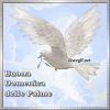 01 buona_domenica_delle_palme