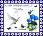 buona-domenica-delle-palme-4