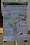 IMG 4713