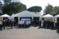 IMG 4732