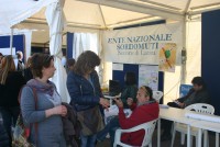 IMG 4745