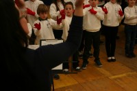 IMG 4795