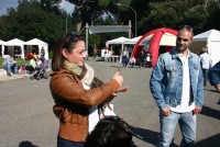 IMG 4846