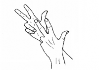 lingua-dei-segni