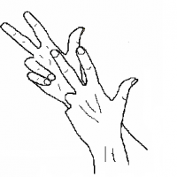 lingua-dei-segni
