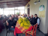 17festa-donna-2013