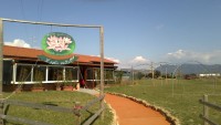 gigliomatto