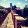 mura1