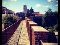 mura1