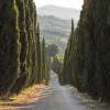 viale-con20cipressi
