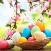speciale-pasqua-380x255