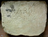 Maria20Polla