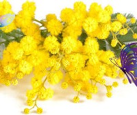 festa della_donna_roccaraso