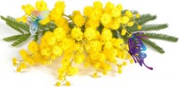 festa della_donna_roccaraso
